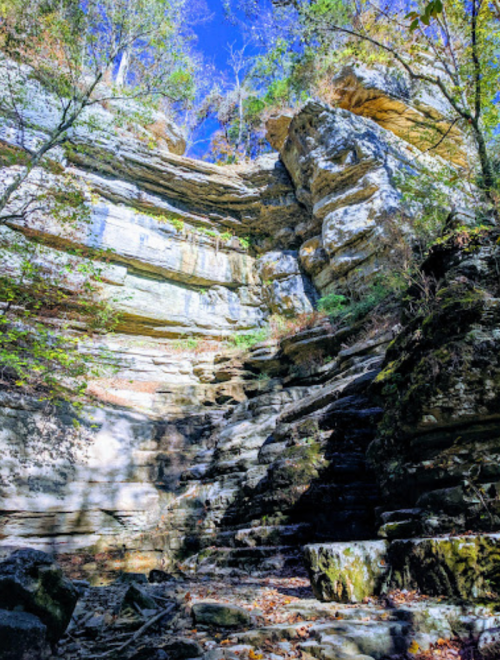 A rocky cliff with layered stone formations, surrounded by trees and a clear blue sky above.