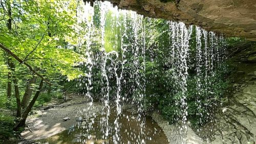 A waterfall cascades over a rocky ledge, surrounded by lush green trees and a serene forest landscape.