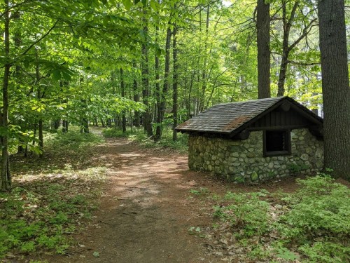 A small stone building nestled in a lush green forest, with a dirt path winding through the trees.