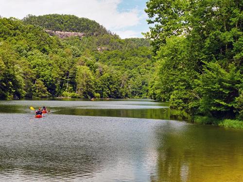 Two kayakers paddle on a calm river surrounded by lush green trees and hills under a partly cloudy sky.