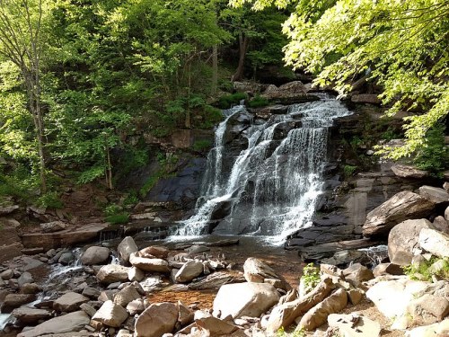 A serene waterfall cascading over rocks, surrounded by lush green trees and a tranquil stream below.