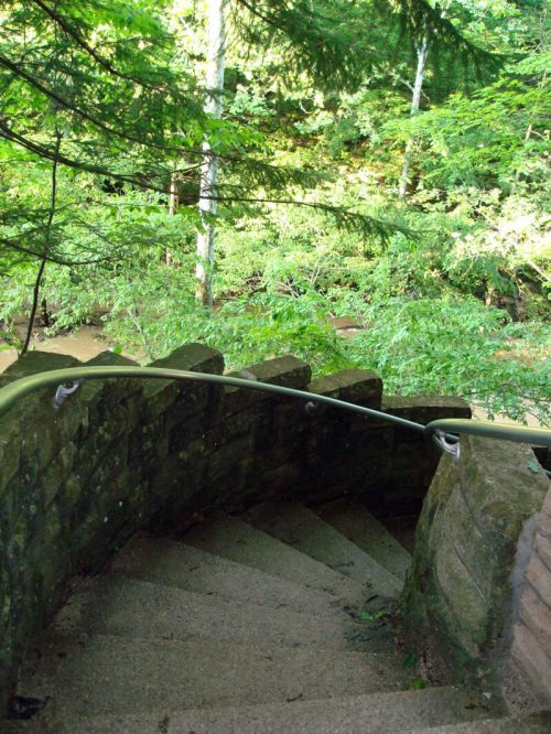 A winding stone staircase leads down through lush green foliage to a serene, wooded area.
