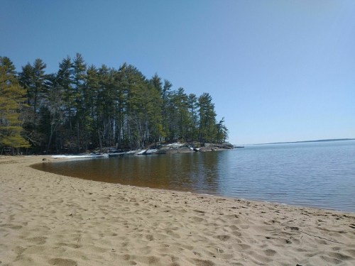 A sandy beach curves along a calm lake, bordered by trees under a clear blue sky.