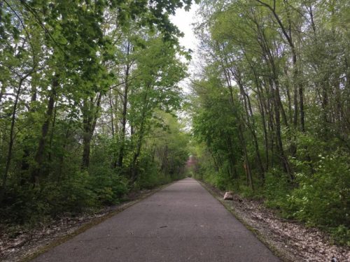 A serene, tree-lined path stretches into the distance, surrounded by lush green foliage on both sides.