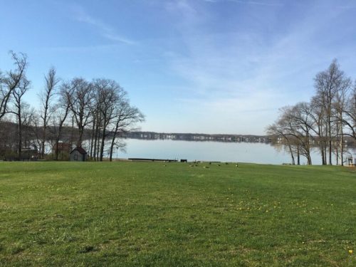 A serene lake view with green grass, trees, and a clear blue sky, reflecting calm waters in the distance.
