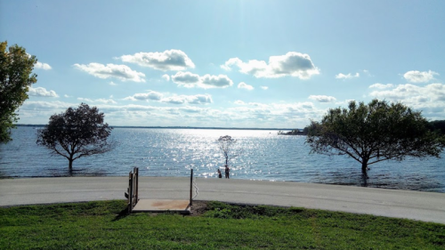 A serene lake view with trees on the shore, sparkling water, and a clear blue sky with fluffy clouds.