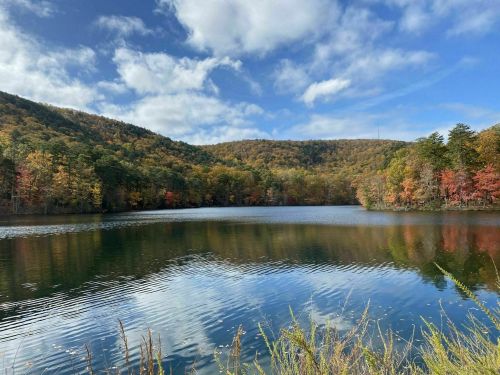 A serene lake surrounded by colorful autumn trees under a blue sky with fluffy clouds. Reflections on the water.