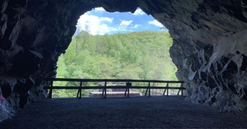 View from inside a cave, showcasing a bright opening with lush green trees and a blue sky in the background.
