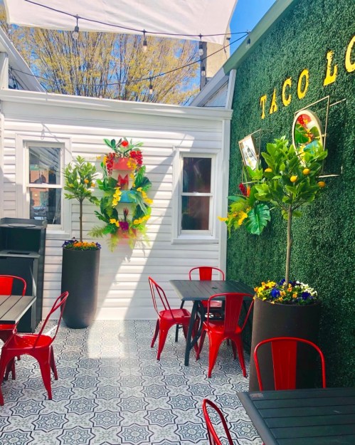 Bright outdoor dining area with red chairs, greenery, and decorative wall featuring a taco logo.