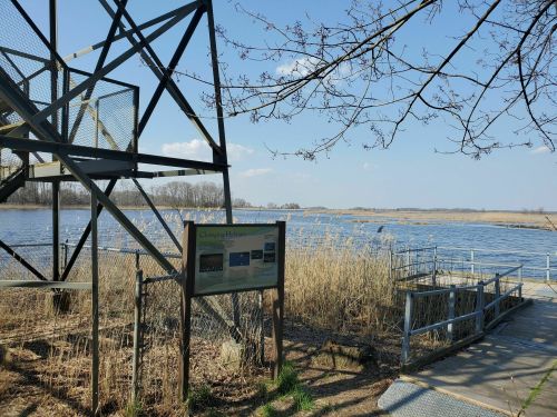A view of a wetland area with tall grasses, a viewing tower, and a sign near a calm water body under a clear blue sky.