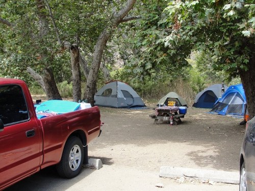 A campsite with several tents set up under trees, a picnic table, and a red truck parked nearby.
