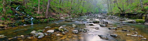 A serene river flows through a lush green forest, with smooth stones and gentle waterfalls along the banks.
