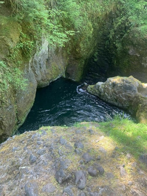 A serene, secluded pool of dark water surrounded by lush greenery and rocky terrain.