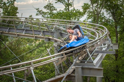 A man and child enjoy a thrilling ride on a roller coaster, surrounded by trees and a scenic landscape.