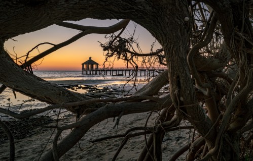 A pier extends over calm waters at sunset, framed by twisted tree branches in the foreground.