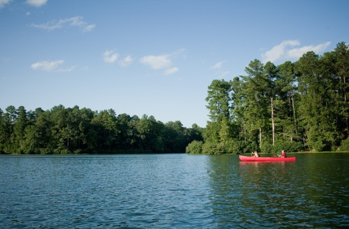 A red kayak with two people paddling on a calm lake surrounded by lush green trees under a clear blue sky.