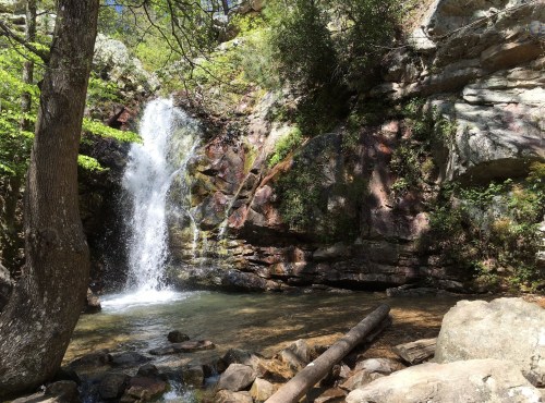 A serene waterfall cascades over rocks, surrounded by lush greenery and a clear pool at its base.