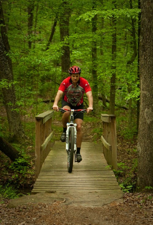 A cyclist in a red jersey rides over a wooden bridge in a lush green forest.