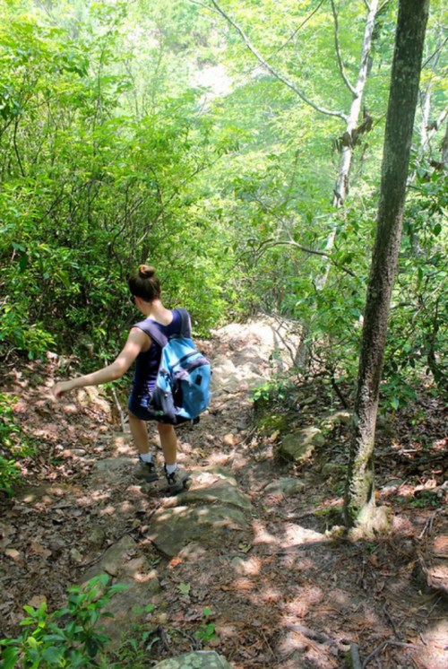 A person with a backpack walks down a rocky trail surrounded by lush green trees and foliage.
