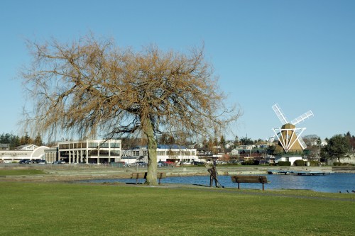 A bare tree stands by a lake, with a windmill and buildings in the background under a clear blue sky.
