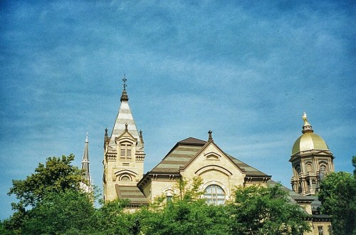 Historic buildings with distinctive architecture under a blue sky, surrounded by lush greenery.