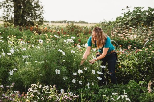 A woman in a blue shirt bends down to tend to flowers in a vibrant garden filled with various blooms.