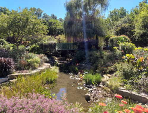 A serene garden with a pond, lush greenery, colorful flowers, and a bridge under a clear blue sky.