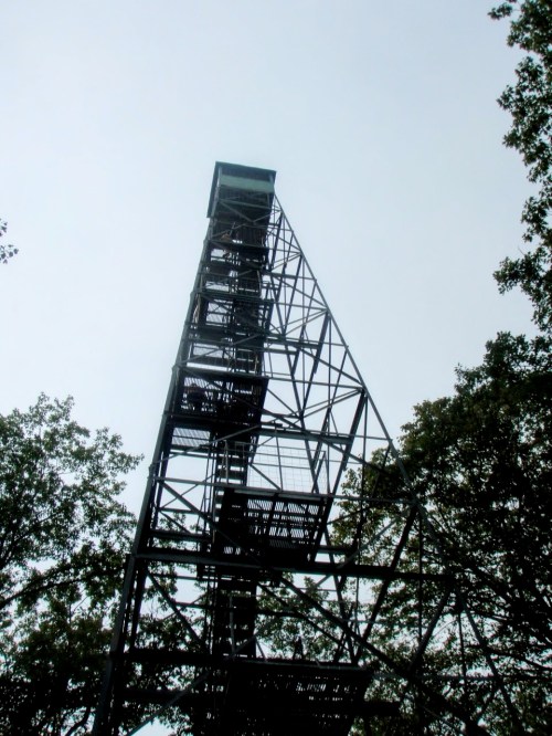 A tall metal observation tower rises above trees against a cloudy sky.