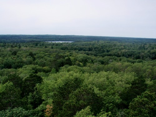 A panoramic view of a lush green forest with a distant lake under a cloudy sky.
