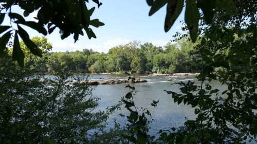 A serene river scene framed by lush green foliage and trees under a clear blue sky.