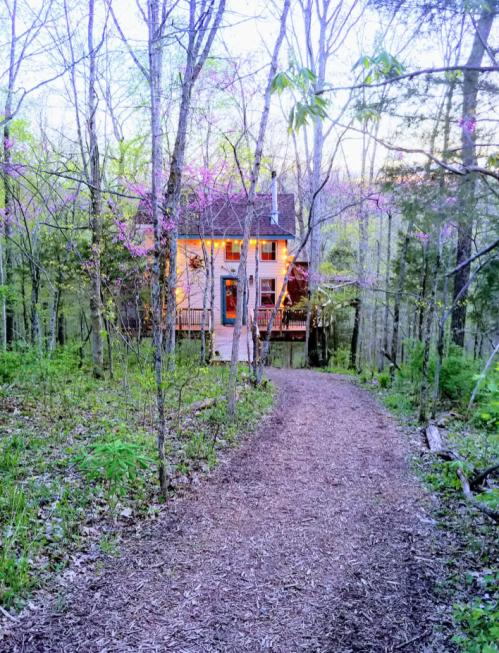 A cozy house nestled in a forest, with a path leading through trees and blooming flowers in the early evening light.