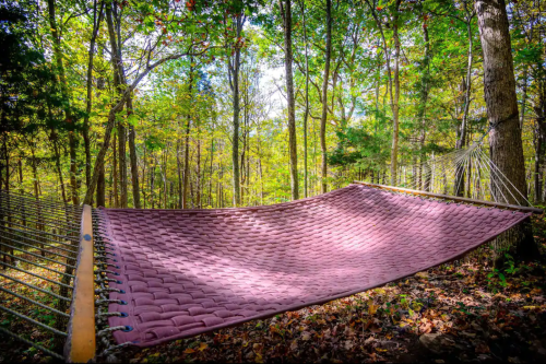A cozy hammock suspended between trees in a vibrant forest, surrounded by colorful autumn foliage.