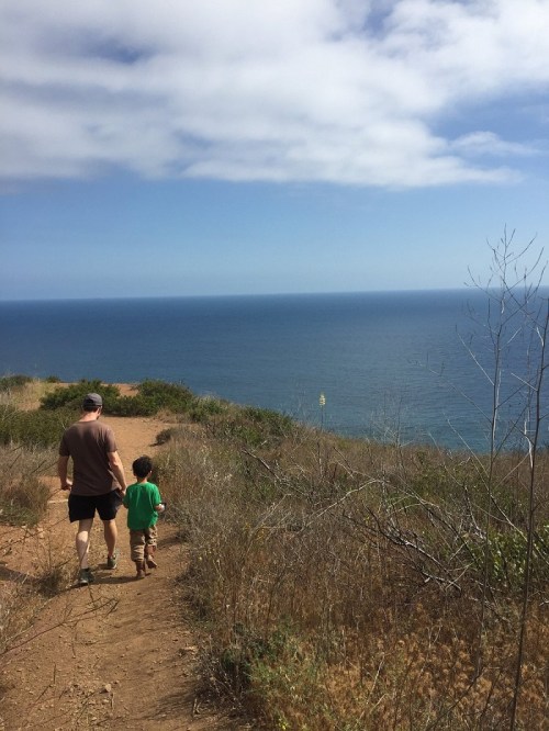 A man and a child walk along a trail overlooking the ocean under a partly cloudy sky.