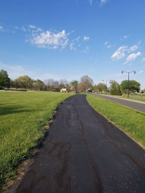 A paved path through a grassy area, with trees and a clear blue sky in the background.