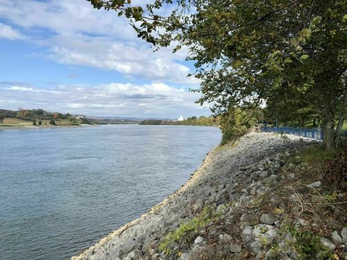 A serene riverbank scene with trees lining the shore and a calm river under a partly cloudy sky.