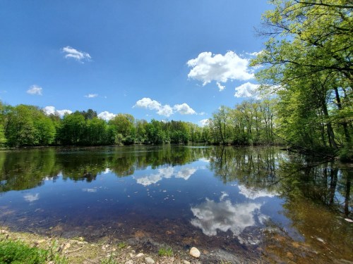 A serene lake surrounded by lush green trees, reflecting a blue sky with fluffy white clouds.