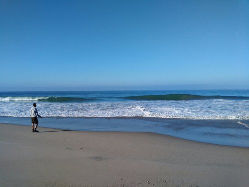 A person stands on a sandy beach, gazing at gentle waves under a clear blue sky.