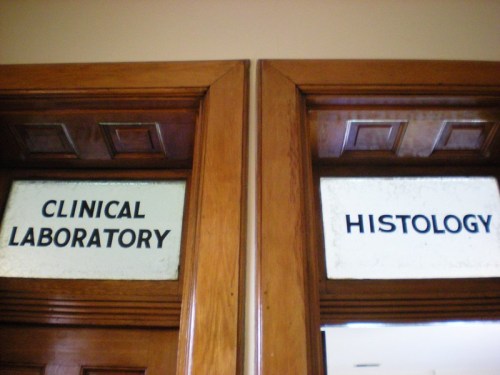 Two wooden doors with signs: one reads "CLINICAL LABORATORY" and the other "HISTOLOGY."
