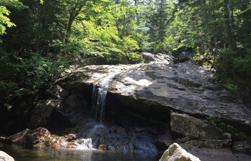 A serene waterfall cascading over rocks, surrounded by lush green trees in a tranquil forest setting.