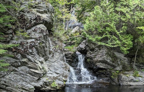 A serene waterfall cascading over rocks, surrounded by lush green trees and foliage.
