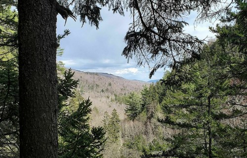 A scenic view of a forested valley with distant mountains under a partly cloudy sky.