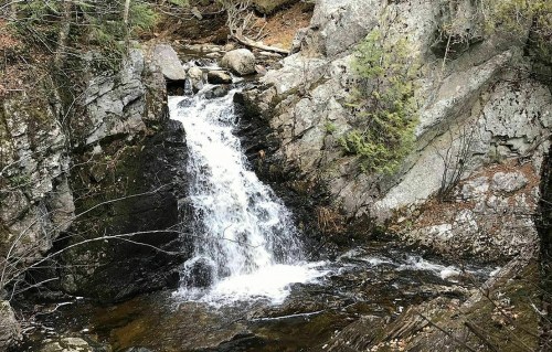 A small waterfall cascades over rocks in a forested area, surrounded by trees and boulders.