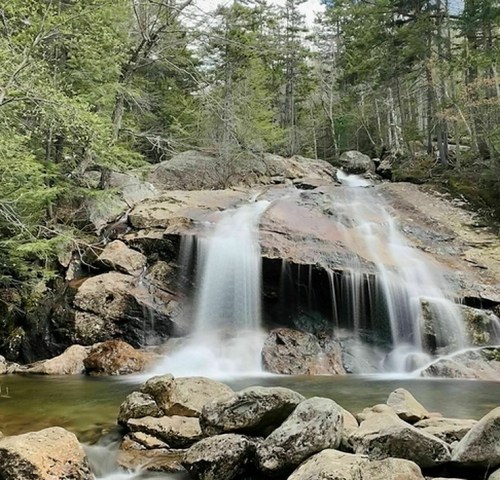 A serene waterfall cascades over rocks, surrounded by lush green trees and a tranquil pool below.