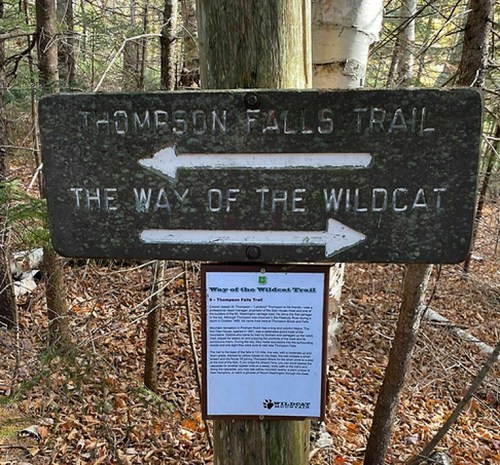 Signpost for Thompson Falls Trail and Way of the Wildcat, with arrows pointing in opposite directions in a wooded area.