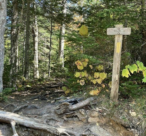 A wooded trail with a signpost labeled "Trail O" surrounded by trees and autumn foliage.