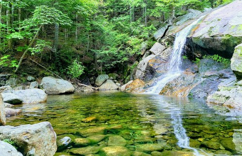 A serene forest scene featuring a small waterfall cascading into a clear pool surrounded by rocks and lush greenery.