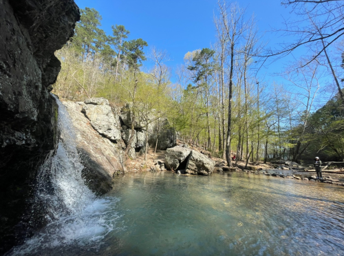 A serene waterfall cascades into a clear pool, surrounded by lush trees and rocky terrain under a bright blue sky.