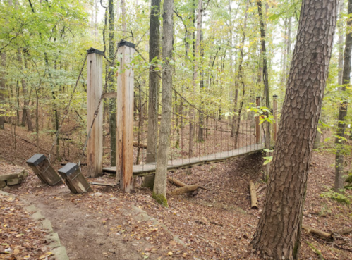 A wooden suspension bridge in a forest, surrounded by trees and fallen leaves, with two trash bins nearby.