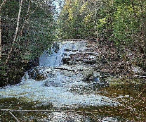 A serene waterfall cascades over rocky ledges, surrounded by lush green trees and a tranquil river.