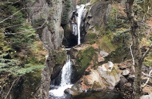 A serene waterfall cascading over rocky cliffs, surrounded by lush greenery and autumn leaves.